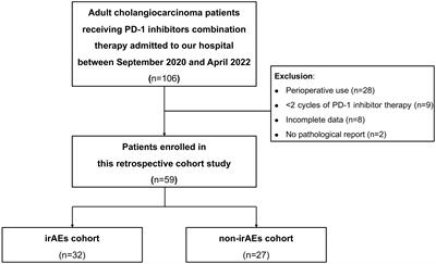 Immune-related adverse events correlate with the efficacy of PD-1 inhibitors combination therapy in advanced cholangiocarcinoma patients: A retrospective cohort study